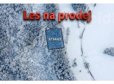 Prodej lesního pozemku 6 734 m2 - Zlatá Olešnice Navarovská | Prodej - pozemek, les, 6 734 m²
