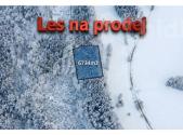 Prodej - pozemek, les, 6 734 m²