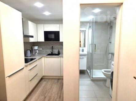 Pronájem zařízeného bytu 1+kk (18 m2) s patrem na spaní (6 m2), U nádražní lávky, Praha 8 - Karlín | Pronájem bytu, 1+kk, 27 m²