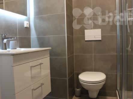 Pronájem bytu 1+kk ve Zlíně | Pronájem bytu, 1+kk, 25 m²