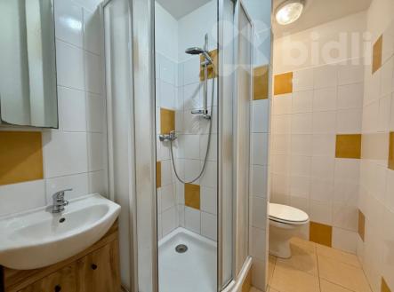 Pronájem bytu 2+kk 39 m2, J.Opletala České Budějovice | Pronájem bytu, 2+kk, 39 m²