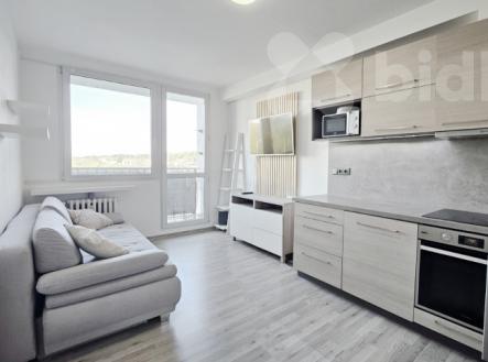 Byt 2+kk/L, 47 m2, panel, OV, Praha Řepy | Prodej bytu, 2+kk, 47 m²