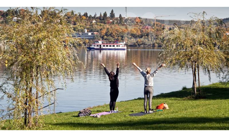 Prodej pozemku cca od 1000 m2 až cca 9.000 m2, Brno-Bystrc