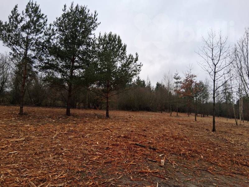 Prodej stavebního pozemku cca 1000 m2, k rekreačním účelům u brněnské přehrady od cca 1000 m2