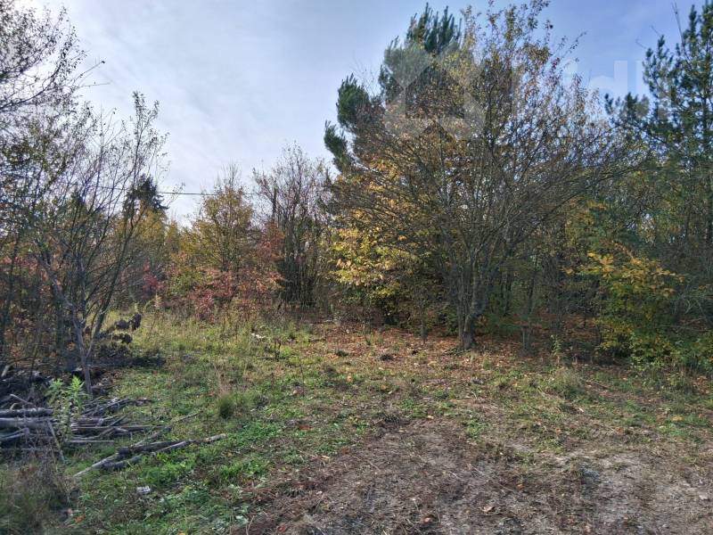 Prodej stavebního pozemku cca 1000 m2, k rekreačním účelům u brněnské přehrady od cca 1000 m2