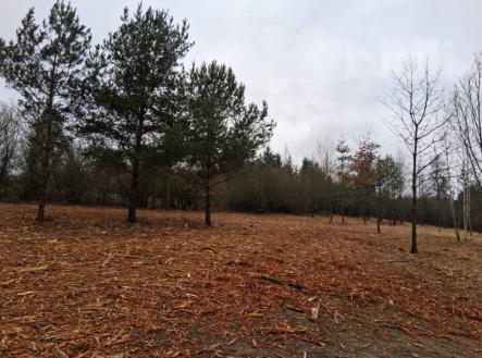 Prodej stavebního pozemku cca 1000 m2, k rekreačním účelům u brněnské přehrady od cca 1000 m2 | Prodej - pozemek, trvalý travní porost, 9 248 m²