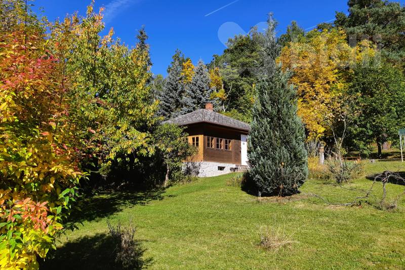 Chata uprostřed sadu u lesa