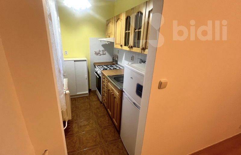 pronájem 1+1 Kladno