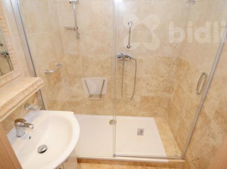 Pronájem bytu 2+1, 57 m2, panel, Praha Vokovice | Pronájem bytu, 2+1, 57 m²