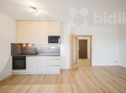 Pronájem bytu 1+kk 42, Dobrovodská, České Budějovice - České Budějovice 5 | Pronájem bytu, 1+kk, 41 m²