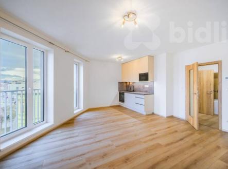 Pronájem bytu 1+kk 42, Dobrovodská, České Budějovice - České Budějovice 5 | Pronájem bytu, 1+kk, 41 m²