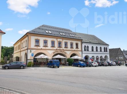 Pronájem hotelu Orličan, Rokytnice v Orlických horách | Pronájem - hotel, 1 679 m²