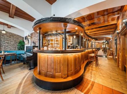 Pronájem hotelu Orličan, Rokytnice v Orlických horách | Pronájem - hotel, 1 679 m²