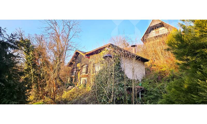 Prodej zahrady 1 924 m2- klidné místo s možností budoucí rekreační výstavby.