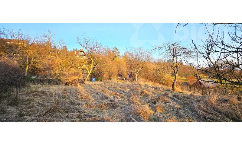 Prodej zahrady 1 924 m2- klidné místo s možností budoucí rekreační výstavby.