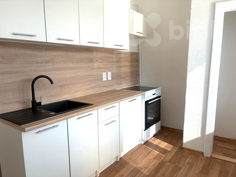 Pronájem bytu, 1+1, 32 m², 28. října, Ostrava - Moravská Ostrava
