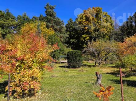 Zahrada přímo u lesa | Prodej - pozemek, ostatní, 560 m²