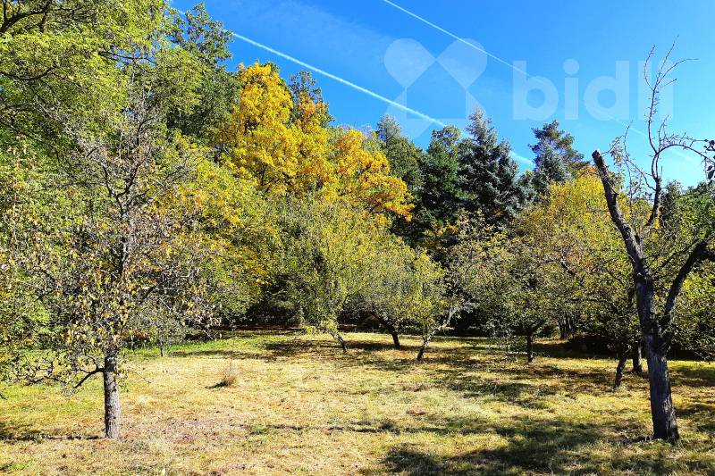 Zahrada 560 m2 přímo u lesa