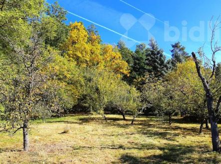Zahrada 560 m2 přímo u lesa | Prodej - pozemek, zahrada, 560 m²