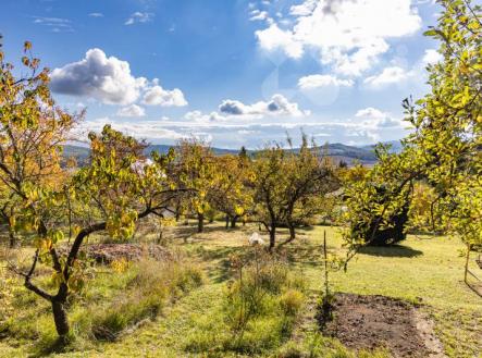Zahrada 560 m2 přímo u lesa | Prodej - pozemek, zahrada, 560 m²