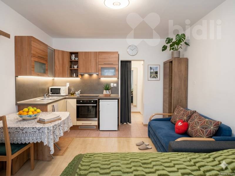 Prodej bytu 1+kk 24 m2 Fr. Ondříčka, České Budějovice - České Budějovice 2