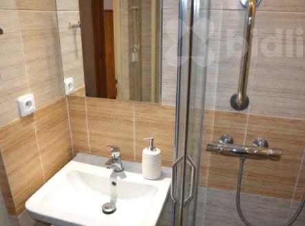 Prodej bytu 2+1 s balkonem, 52 m2, - Přerov, ul. Interbrigadistů | Prodej bytu, 2+1, 55 m²