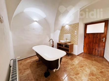 Pronájem bytu 3+kk, Žalany | Pronájem bytu, 3+kk, 110 m²