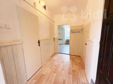 Pronájem bytu 3+kk, Žalany | Pronájem bytu, 3+kk, 110 m²