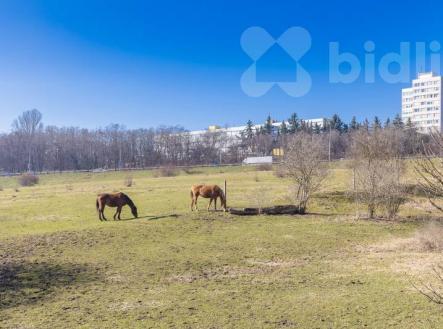 Prodej bytu 3+kk, 68,7 m2, předzahrádkou 156,2 m2, garáží a sklepem | Prodej bytu, 3+kk, 59 m²
