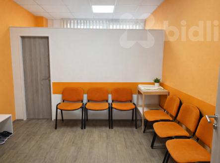 Prodej zavedené fyzioterapeutické praxe se smlouvami se ZP ve Velešín | Prodej - jiné, 65 m²
