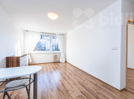 Pronájem světlého bytu 2+kk, 45 m2 + sklep 5 m2, Praha - Michle | Pronájem bytu, 2+kk, 45 m²