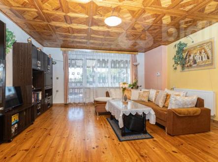 Prodej dvougeneračního domu 227m2 s pozemkem 1741m2 v Sověticích | Prodej - dům/vila, 227 m²