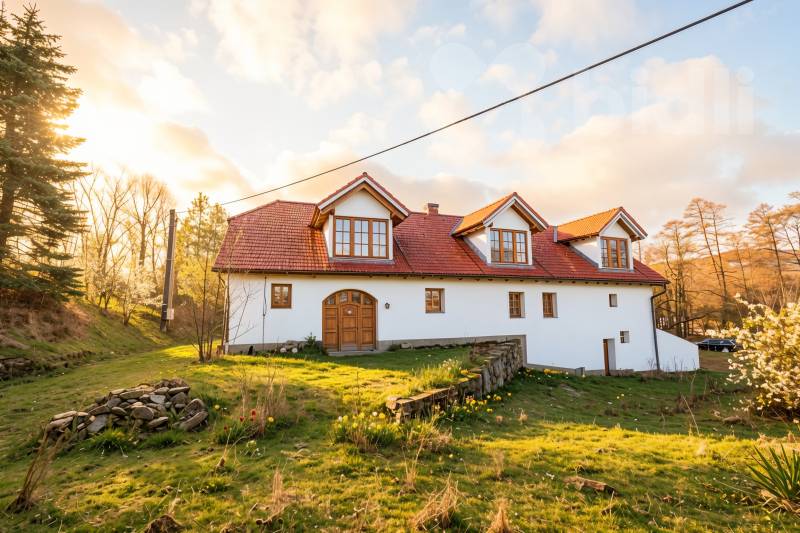 Záplatův mlýn - historická nemovitost s jedinečnou atmosférou a pozemky 24 277 m2, Rozsedly