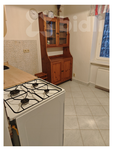 Pronájem bytu 1+1, 35 m2 - Pardubice, Na Okrouhlíku