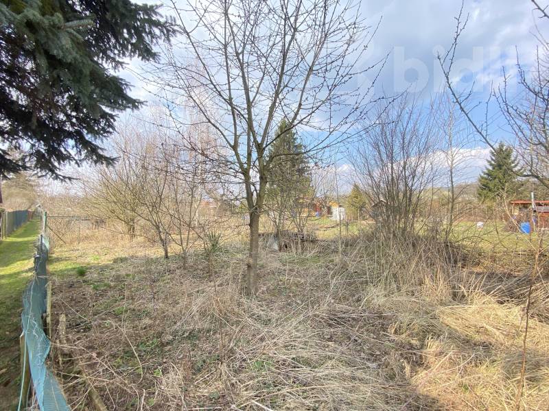 Prodej zahrady 254m2, Dvůr Králové nad Labem