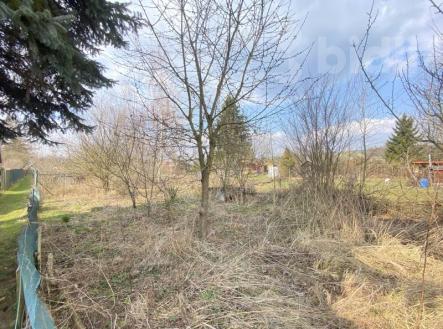 Prodej zahrady 254m2, Dvůr Králové nad Labem | Prodej - pozemek, zahrada, 254 m²