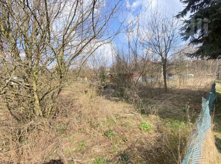 Prodej zahrady 254m2, Dvůr Králové nad Labem | Prodej - pozemek, zahrada, 254 m²