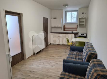 Obývací pokoj | Pronájem bytu, 3+kk, 45 m²