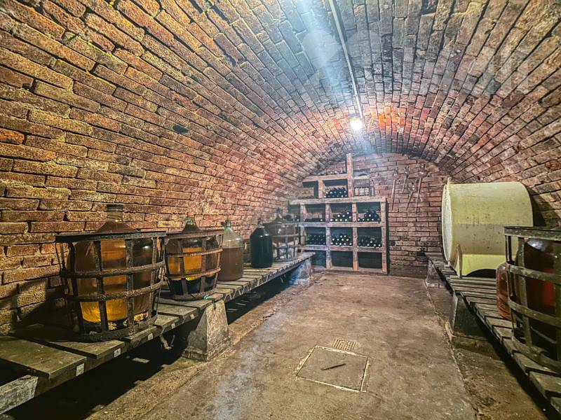 Prodej mimořádného RD 5+1 a dva samostatné apartmány i vinný sklep, pozemek 1 057 m2, Velké Bílovice