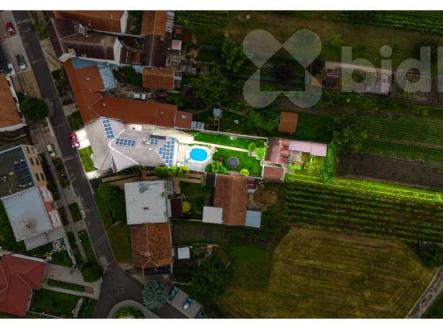 Prodej mimořádného RD 5+1 a dva samostatné apartmány i vinný sklep, pozemek 1 057 m2, Velké Bílovice | Prodej - dům/vila, 260 m²