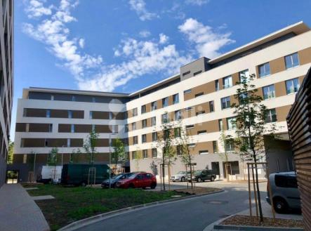 Pronájem, Byt 1+kk, 32m2, Pardubice, Na Haldě | Pronájem bytu, 1+kk, 32 m²