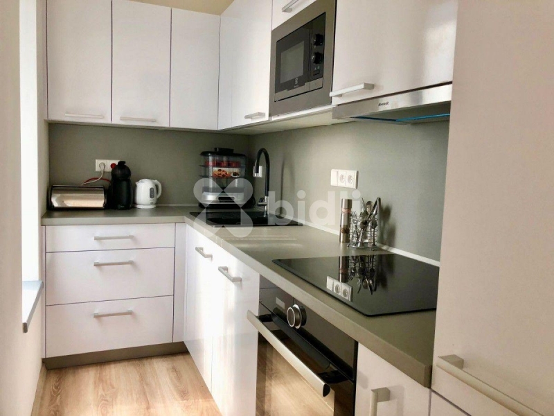 Pronájem, Byt 1+kk, 32m2, Pardubice, Na Haldě