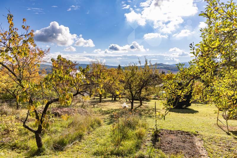 Zahrada 580 m2 přímo u lesa