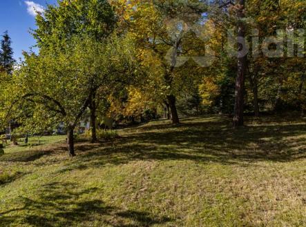 Zahrada 574 m2 přímo u lesa | Prodej - pozemek, zahrada, 574 m²