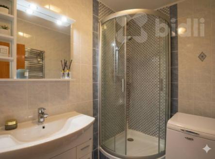 Pronájem bytu 2+1 62 m2, Roudenská ul. České Budějovice | Pronájem bytu, 2+1, 62 m²