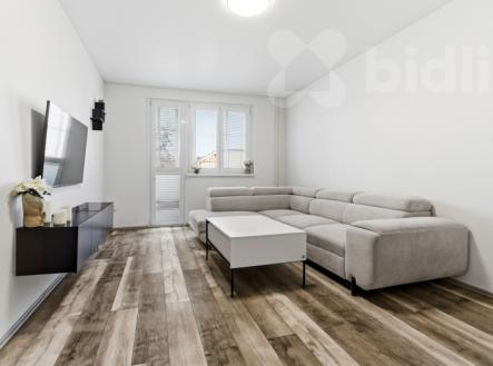 Pronájem, byt 2+1 s lodžií, Sídliště U Nového nádraží, Bílina | Pronájem bytu, 2+1, 55 m²
