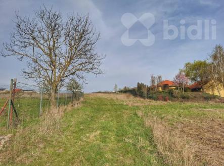 Prodej pozemku 1537 m2 v obci Levín u Berouna | Prodej - pozemek pro bydlení, 1 537 m²