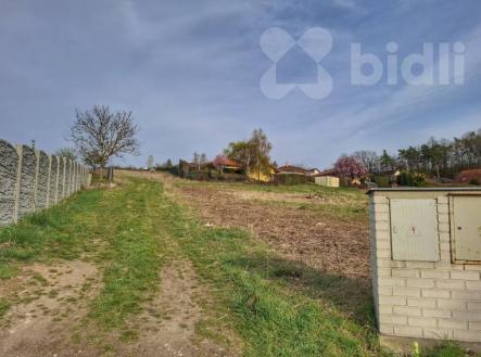 Prodej pozemku 1537 m2 v obci Levín u Berouna | Prodej - pozemek pro bydlení, 1 537 m²