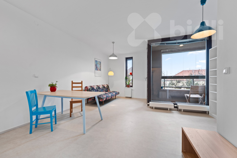 Pronájem bytu 1+kk (38 m²) Podolí