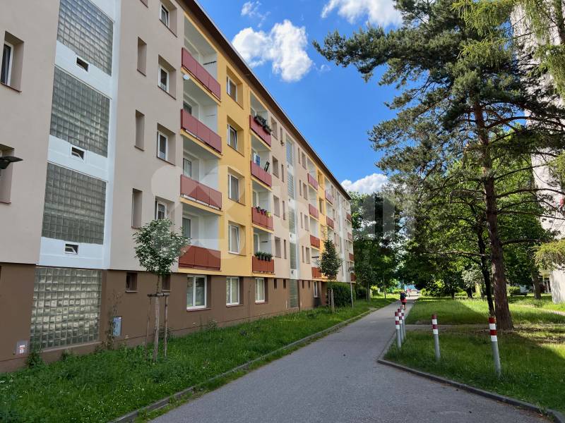 Pronájem bytu 2+kk, 44 m2, ul. Jar. Haška, České Budějovice